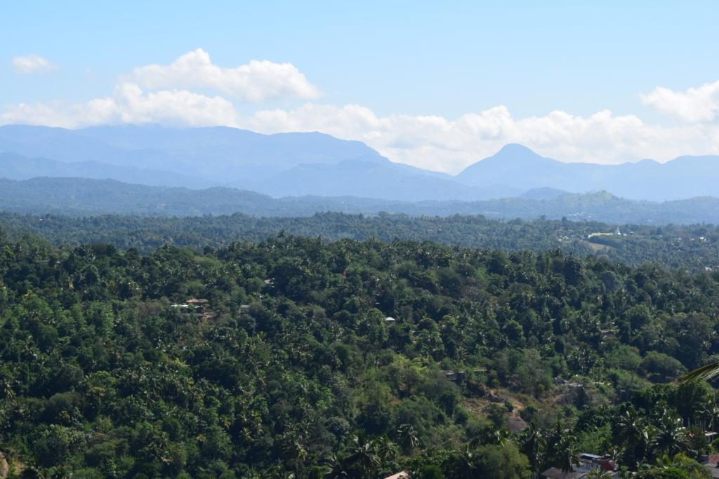 Serenity Hill Oasis Hotel Kandy Bagian luar foto