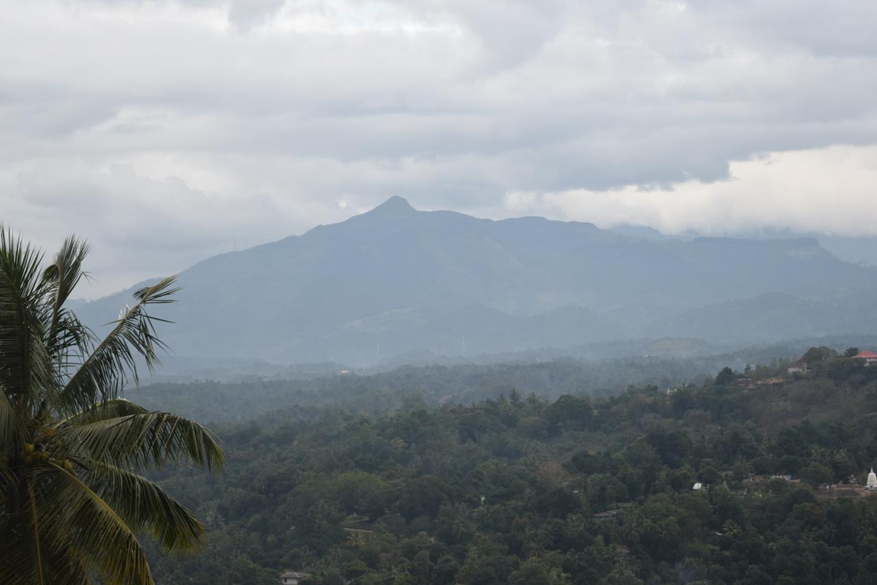 Serenity Hill Oasis Hotel Kandy Bagian luar foto