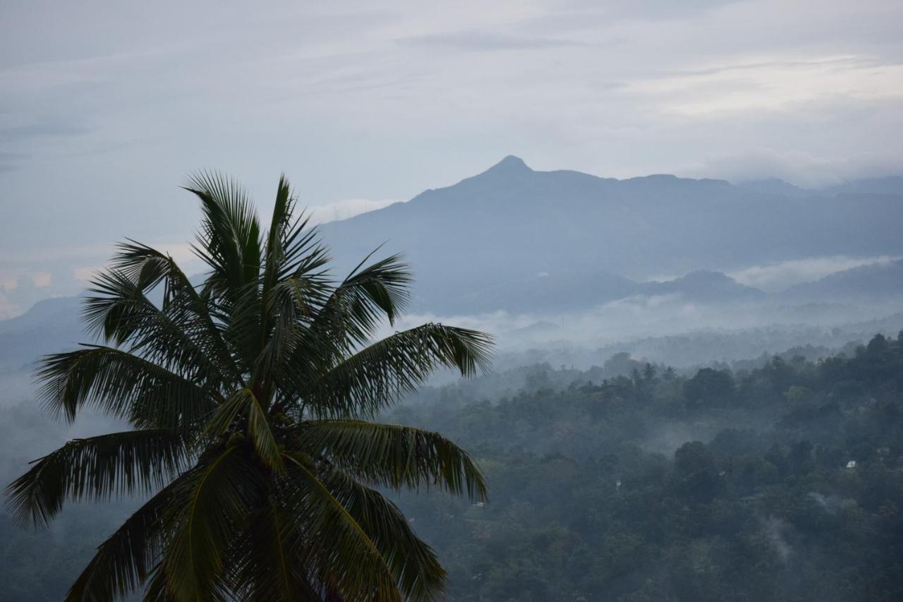 Serenity Hill Oasis Hotel Kandy Bagian luar foto